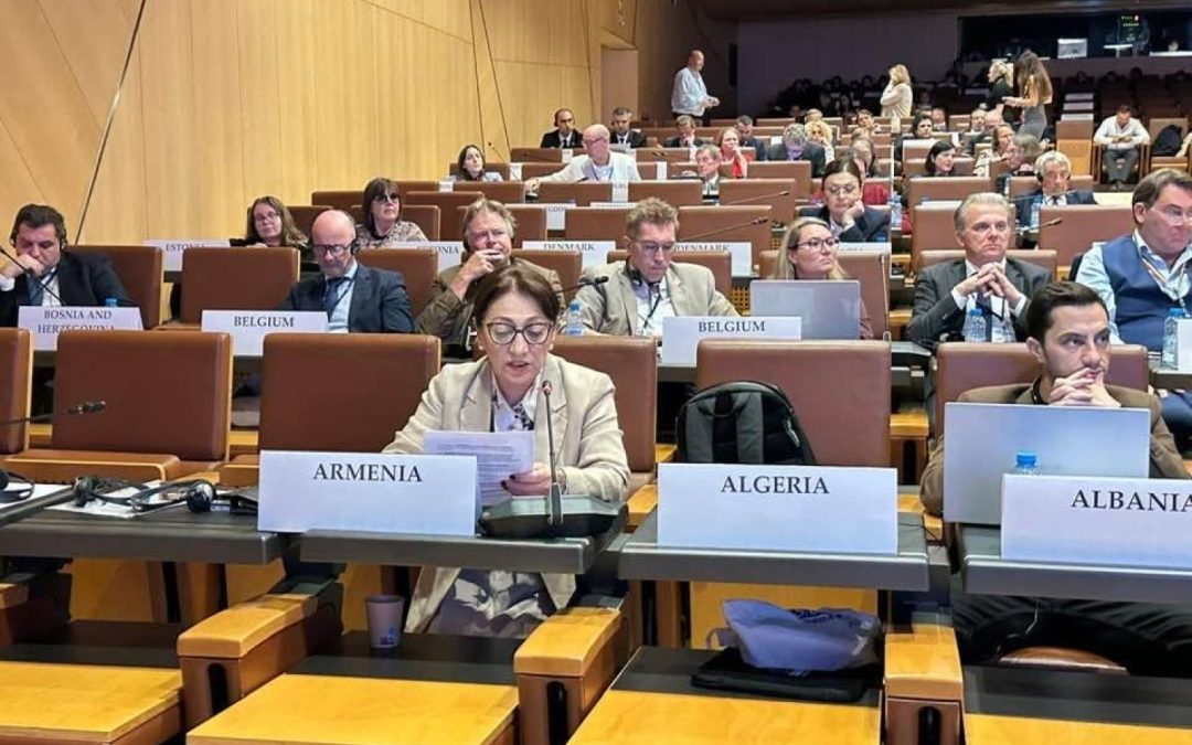 Լիլիթ Գալստյանը ԵԱՀԿ Խորհրդարանական վեհաժողովին կոչ է անում մարդասիրական այց կազմակերպել Բաքու
