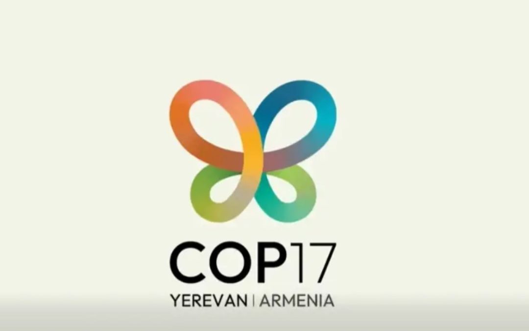 Առաջնորդների գագաթնաժողովի արդյունքներով ընդունվել է Երևանի հռչակագիրը