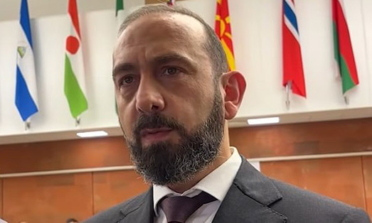 Որոշ տարածքների դեպքում գուցե արագացնելու, հերթից առաջ գցելու անհրաժեշտություն լինի․ Միրզոյան