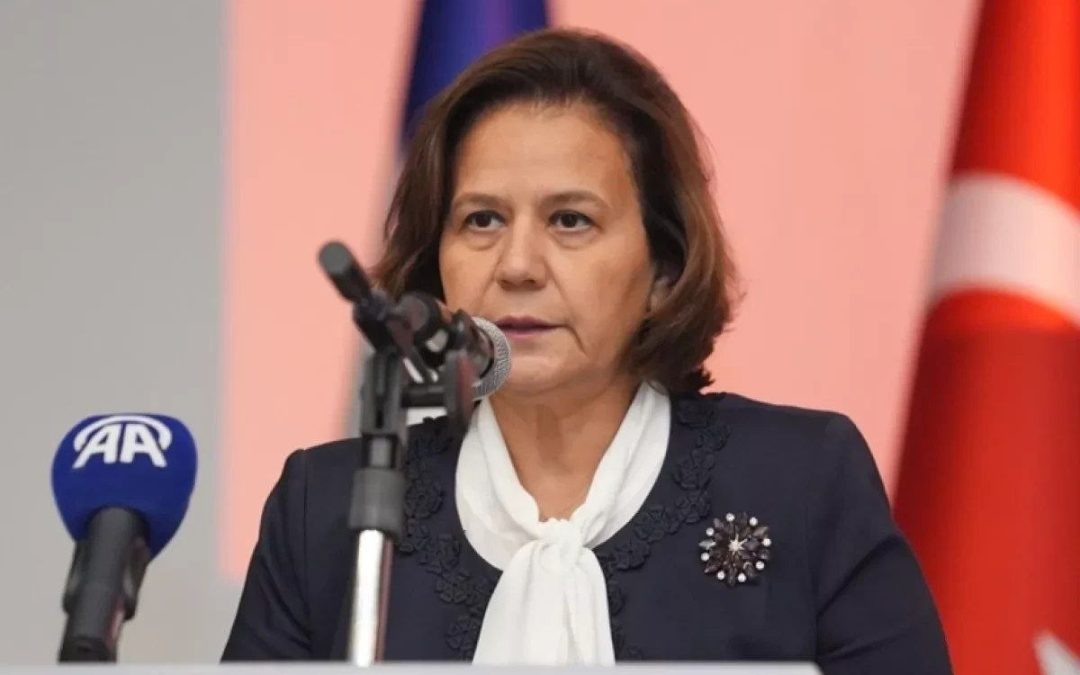 Երկկողմ մակարդակով իրականացնում ենք կարգավորման գործընթաց․ Բերիս Էքինջի