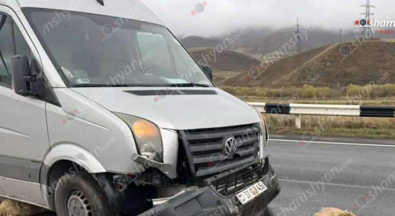 Սևանում «Volkswagen»-ը վրաերթի է ենթարկել 18 ոչխարի. բոլորը սատկել են