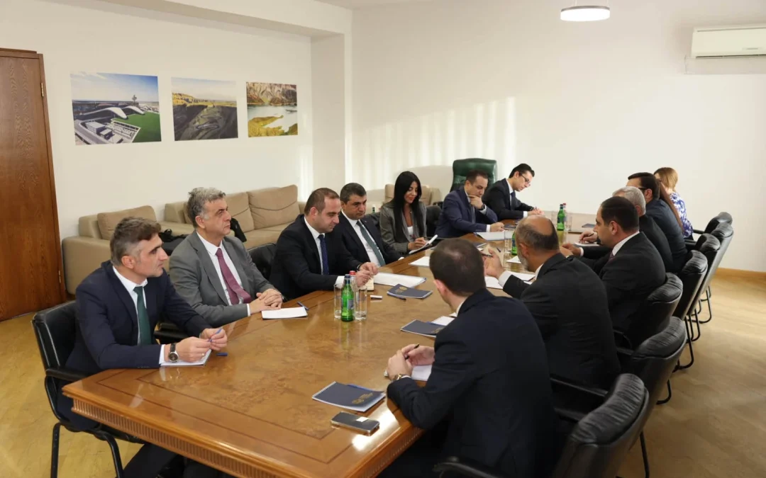 Ընդգծվել է Հայաստանի և Թուրքիայի էլեկտրաէներգետիկ համակարգերի փոխկապակցման նշանակությունը